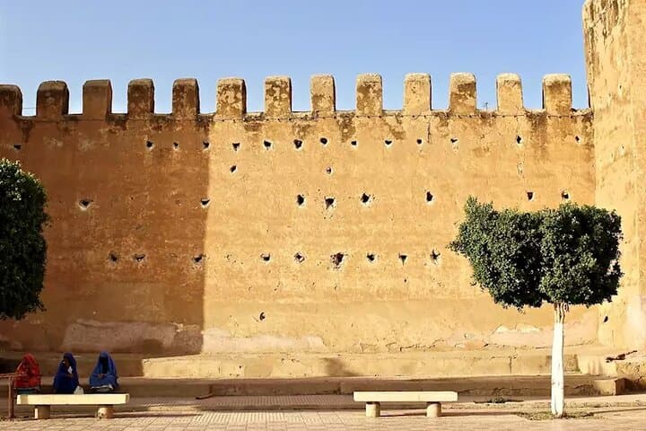 Tiout Oasis & Taroudant Day Explorer: Argan Trees, Kasbahs, and Souks from Agadir photo 6