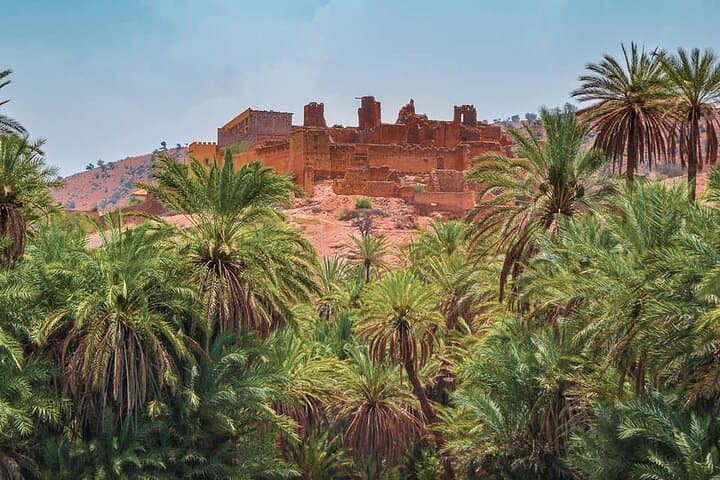 Tiout Oasis & Taroudant Day Explorer: Argan Trees, Kasbahs, and Souks from Agadir