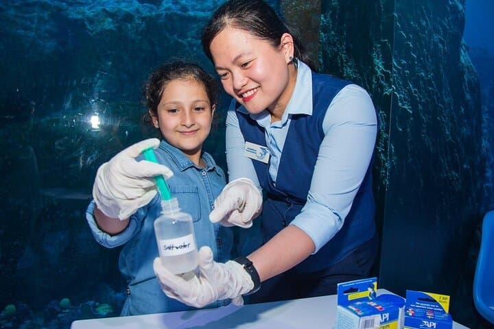 KidZania Dubai Mall Tickets: Family Role-Play City Inside The Dubai Mall photo 4