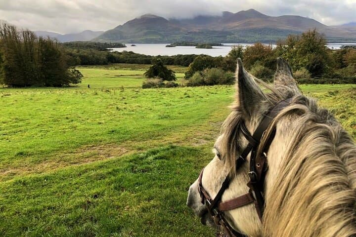 Killarney National Park Horseback Ride — Guided 1-Hour Trail at Knockreer Estate photo 4