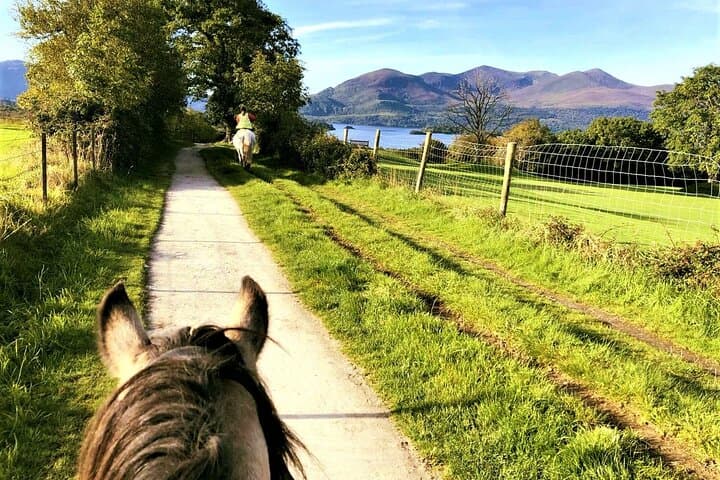 Explore Killarney National Park on a Guided 3-Hour Horseback Ride photo 3