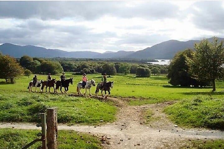 Explore Killarney National Park on a Guided 3-Hour Horseback Ride photo 5