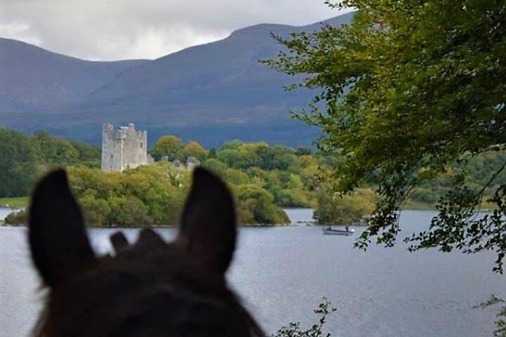 Explore Killarney National Park on a Guided 3-Hour Horseback Ride photo 6