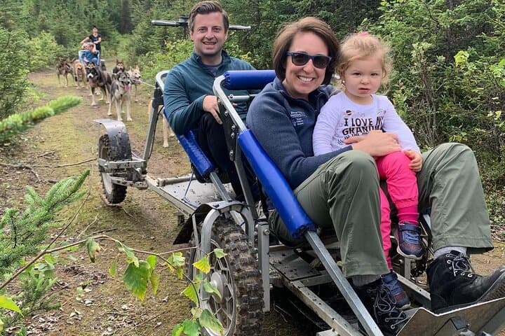 Summer Dog Sledding in Willow: Dog-Powered Cart Tours on Iditarod Training Trails