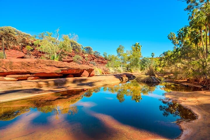 7-Day Red Centre Guided Tour from Alice Springs: Uluru, Kata Tjuta & West MacDonnell Ranges photo 2