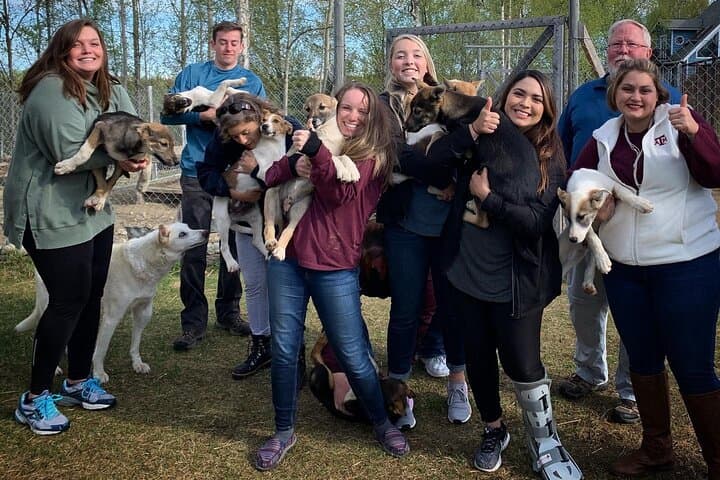 Summer Dog Sledding in Willow: Dog-Powered Cart Tours on Iditarod Training Trails photo 5