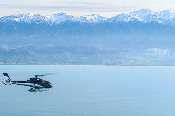 Helicopter Whale Watching Kaikoura — Christchurch Scenic Flight photo 6