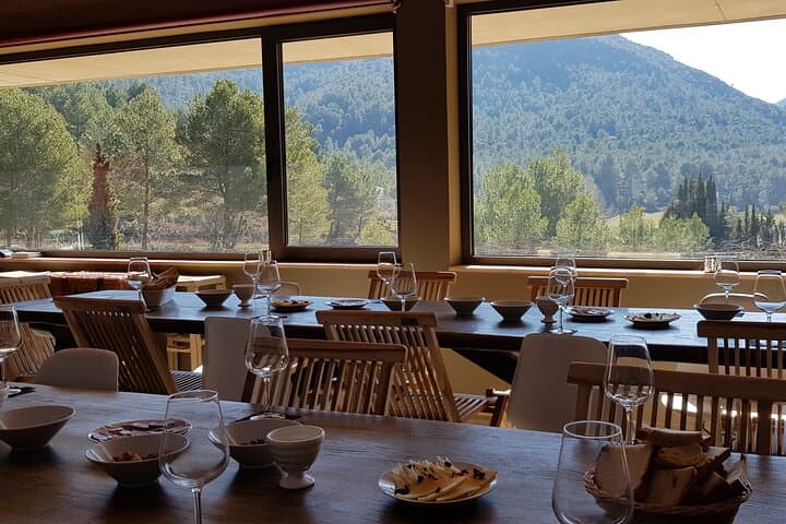 Hike and Organic Wine Tasting at Can Marlés in El Penedés photo 4