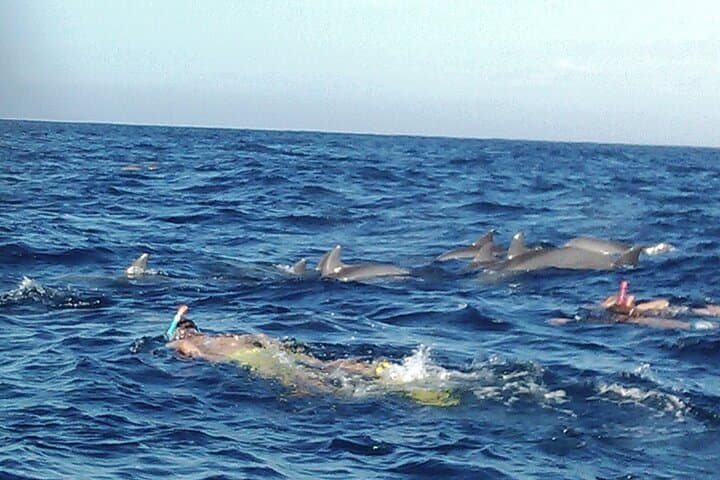 Private Ethical Dolphin Watching Trip in Zanzibar with Invisible Island Picnic photo 2