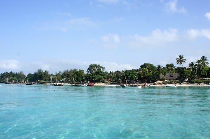 Private Ethical Dolphin Watching Trip in Zanzibar with Invisible Island Picnic photo 4