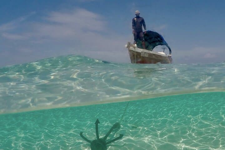 Private Ethical Dolphin Watching Trip in Zanzibar with Invisible Island Picnic photo 5