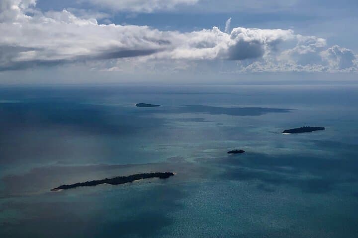 Private Ethical Dolphin Watching Trip in Zanzibar with Invisible Island Picnic photo 6