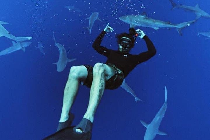 Cage-Free Pelagic Shark Swim Tour — Haleiwa North Shore Oʻahu photo 3