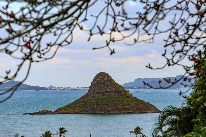 Private Oahu Half Circle Islander Tour — Diamond Head to Nuuanu Pali photo 4