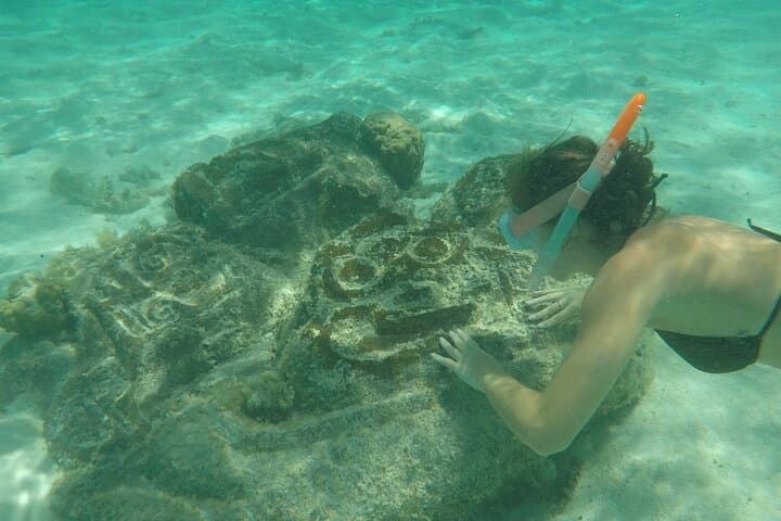 Moorea Half‑Day Snorkel: Swim with Turtles & Stingrays in a Pristine Lagoon photo 6