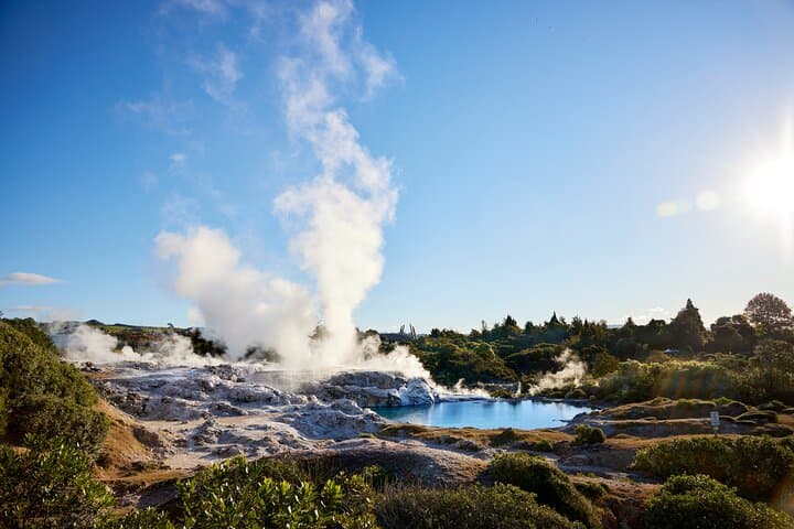 Whaka Trails and Maori Village Combo: Rotorua Geothermal Walk & Cultural Tour
