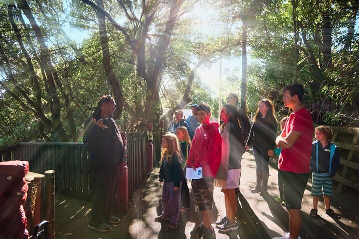 Whaka Trails and Maori Village Combo: Rotorua Geothermal Walk & Cultural Tour photo 2