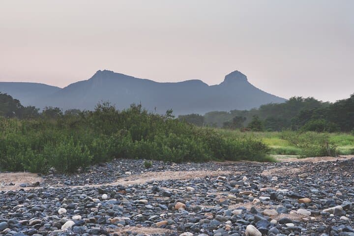 Mkuze River Bird Walk — Gentle Riverbed Birding from Your Lodge