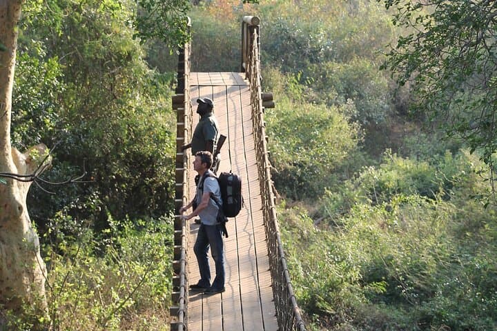 uMkhuze Fig Forest Walk: Guided Sand-Forest Stroll in uMkhuze Game Reserve