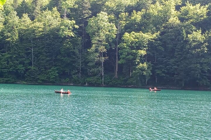 Full-Day Private Tour: Moraca & Tara Canyons, Durmitor and Biogradska Gora NP