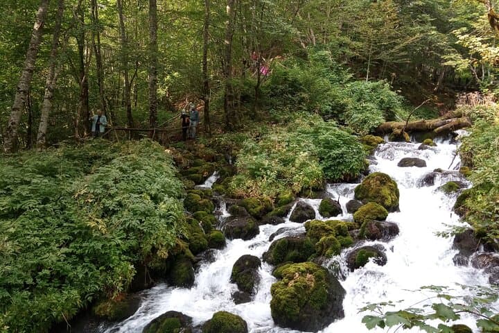 Full-Day Private Tour: Moraca & Tara Canyons, Durmitor and Biogradska Gora NP photo 2
