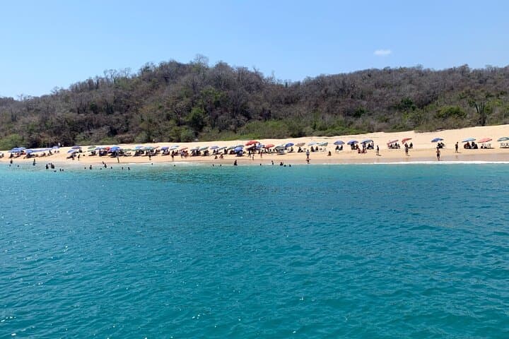 Bays of Huatulco Boat Tour: Snorkel Chachacual, Spot Dolphins & Lunch in Maguey Bay photo 4