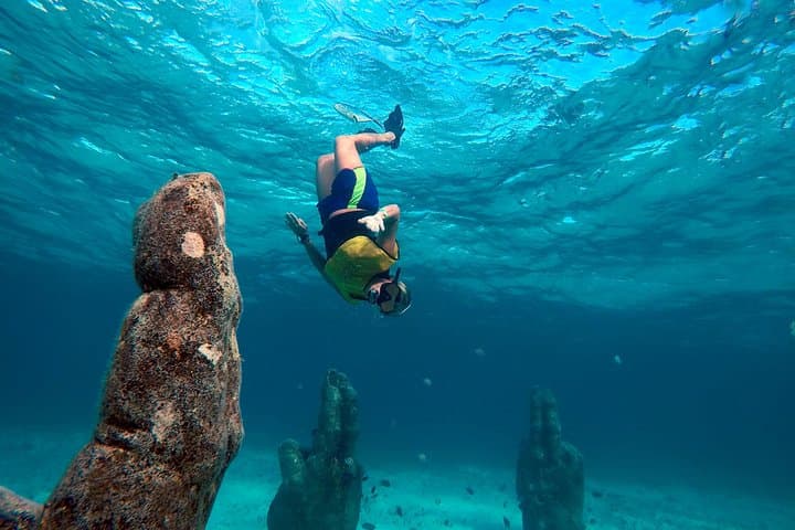 Morning Cancun Snorkel Tour — Turtles, MUSA Underwater Museum, Reef & Shipwreck photo 2