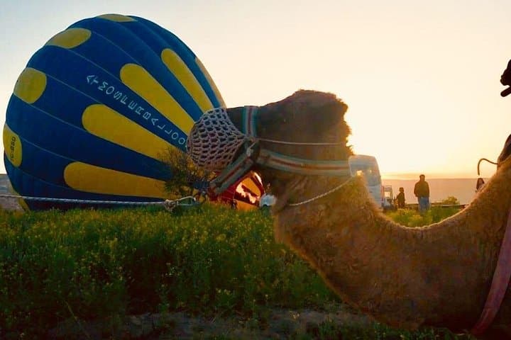Cappadocia Sunrise Camel Safari: Ride the Red and Rose Valleys at Dawn photo 4