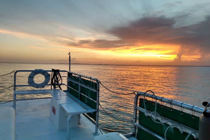 Key Largo Bayside 1.5-Hour Sunset Catamaran Cruise photo 3