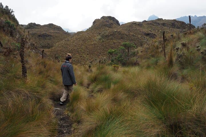 Cajas National Park Day Trip from Guayaquil — High-Altitude Lagoons & Moorland Hike photo 4