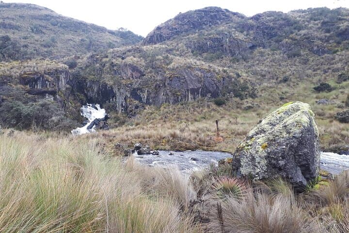 Cajas National Park Day Trip from Guayaquil — High-Altitude Lagoons & Moorland Hike photo 5