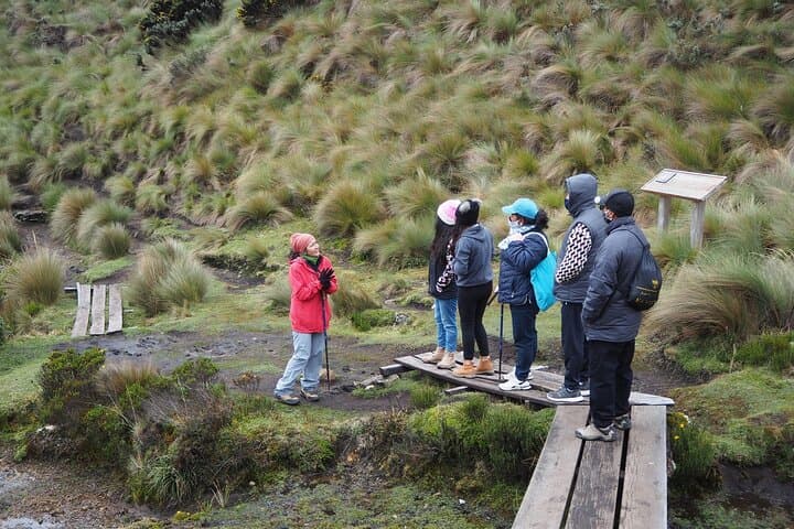 Cajas National Park Day Trip from Guayaquil — High-Altitude Lagoons & Moorland Hike