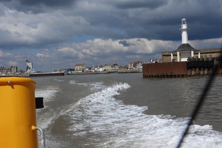 Scroby Sands Seal Watching from Lowestoft — Coastal Wildlife Boat Tour photo 3