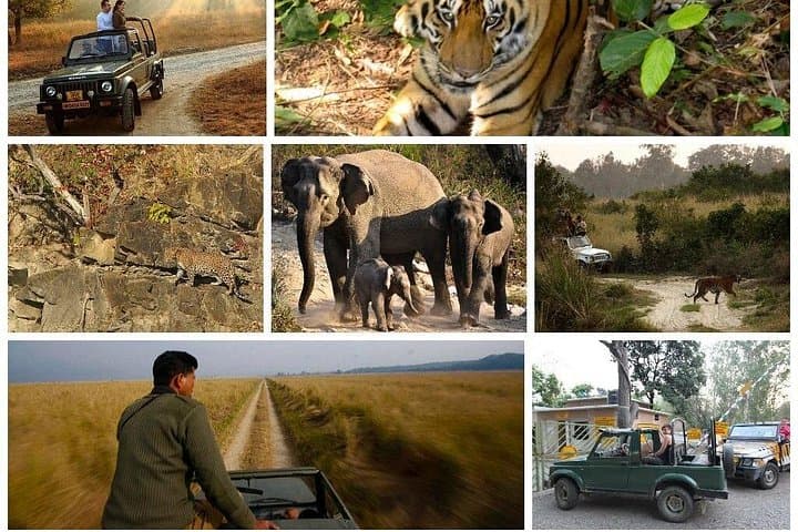 7-Day Golden Triangle India: Delhi, Agra, Jaipur & Ranthambhore Safari photo 4