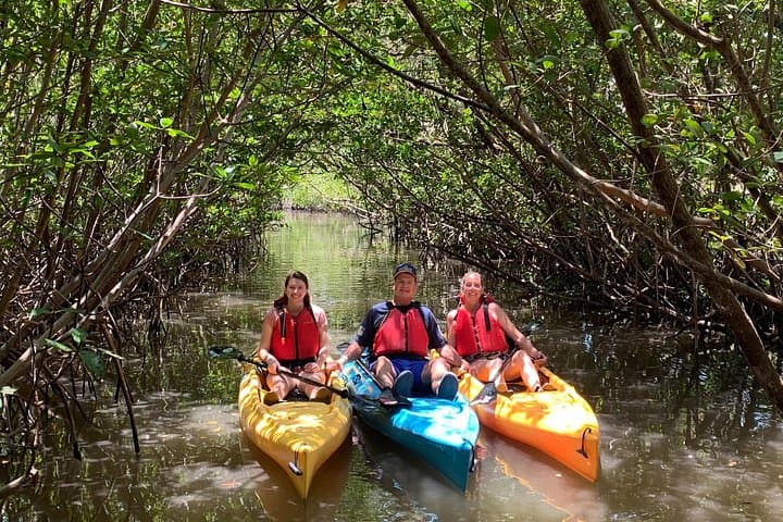 Paddling Fort Lauderdale’s Mangrove Tunnels: Guided Eco Kayak Tour photo 4