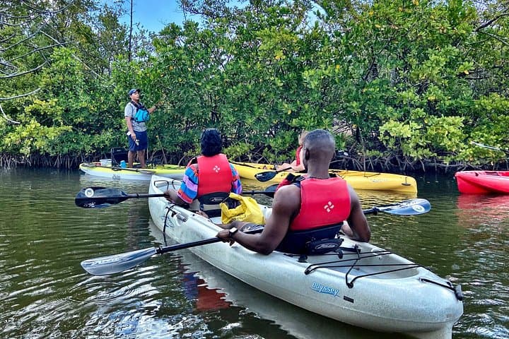 Paddling Fort Lauderdale’s Mangrove Tunnels: Guided Eco Kayak Tour photo 2