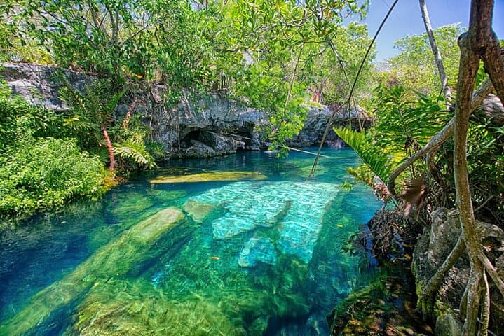 Cenote Circuit and Kaan Luum Lagoon: Day Trip from Playa del Carmen photo 6