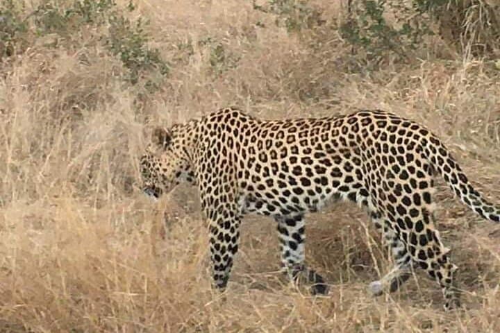 3-Day Kruger National Park Safari & Panorama Route from Johannesburg photo 2