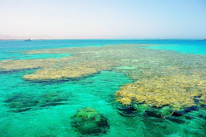 Ras Mohammed Snorkeling Day Trip from Sharm El Sheikh — Private Car Transfer photo 5