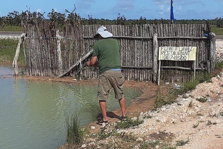 Altun Ha Mayan Ruins & Farm-to-Fry Experience: Tilapia, Tastes & Temples photo 3