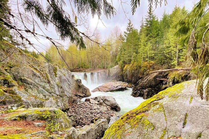 Whistler Train Wreck Hike: Suspension Bridge, Hidden Waterfall & Cheakamus River Walk photo 2
