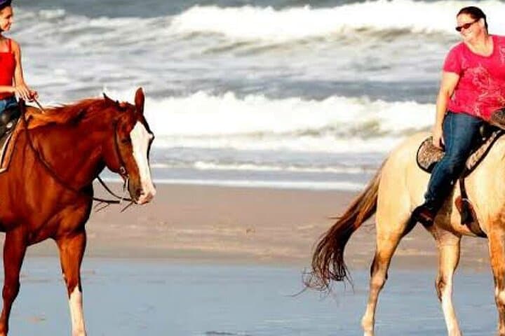 Beach Horse Riding in Hurghada: 1-Hour Guided Coastal Ride
