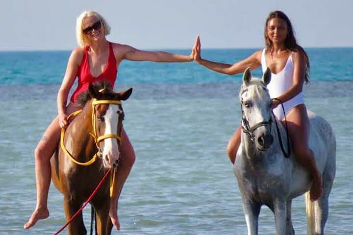 Beach Horse Riding in Hurghada: 1-Hour Guided Coastal Ride photo 2
