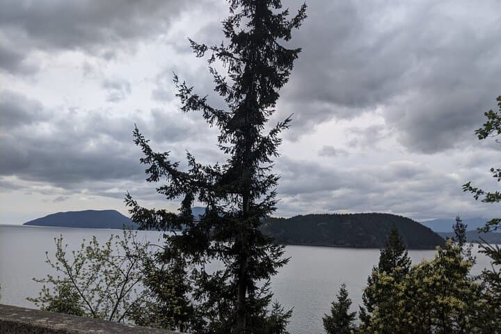 Sea-to-Sky Private Day Tour: Vancouver, Squamish & Shannon Falls photo 6
