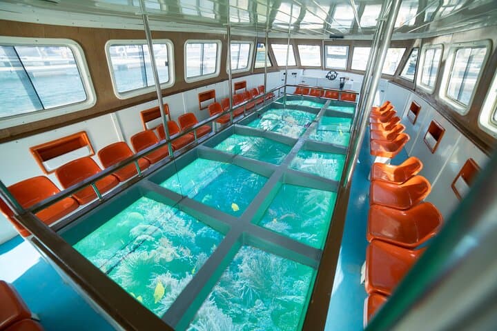 Aqaba Glass-Bottom Boat: 2-Hour Coral Reef & Wreck Viewing photo 5