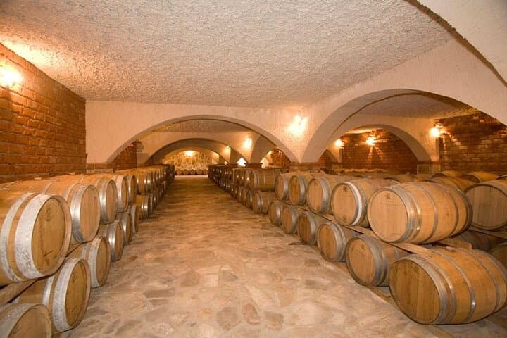 Private Korcula Day Trip from Dubrovnik with Peljesac Wine & Oyster Stops photo 3
