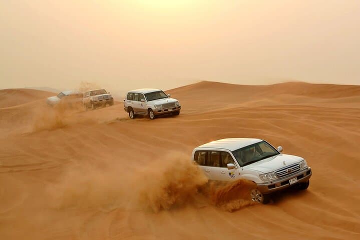 Dubai Desert Safari: Dune Bashing, Falconry & Evening Camp Experience photo 2