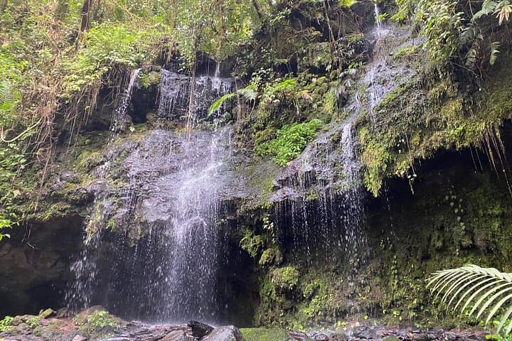 Off-the-Beaten-Path Waterfalls & Caverns Day Trip from San José photo 5