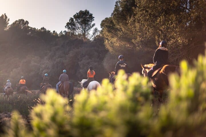 Horseback Riding to Cala Mitjana: Beginner-Friendly Ride on Menorca's South Coast photo 6