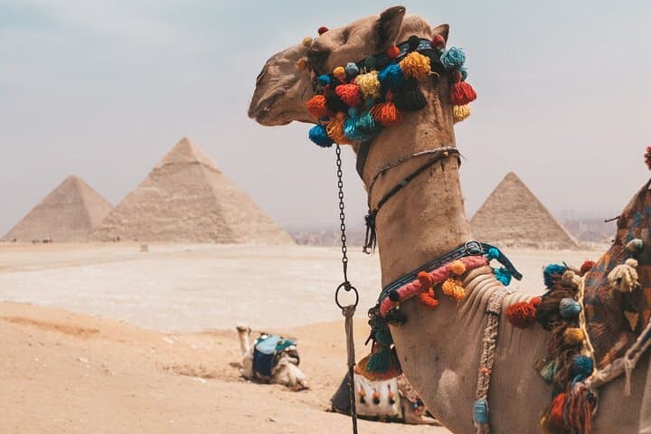 Hurghada to Cairo & Giza Day Trip: Pyramids, Sphinx and Egyptian Museum photo 2